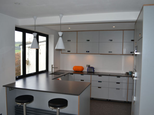 Custom made modern fitted kitchen